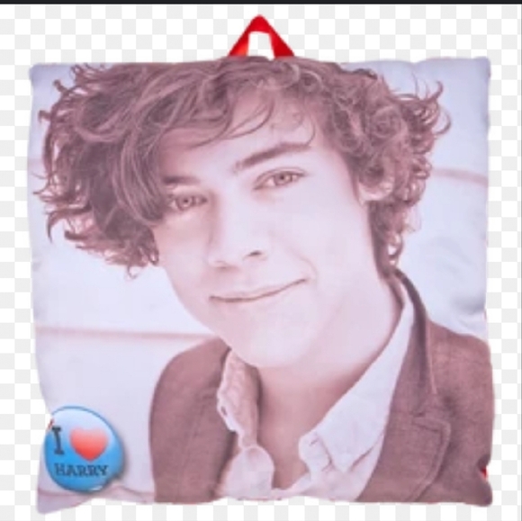 1D one direction I love Harry Styles throw pillow build a bear Liam zayn niall - Picture 3 of 5